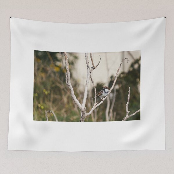 Item preview, Tree Sparrow Perched on Dry Branches With Blurred Green Background, Bird Wildlife Close-Up designed and sold by Nmallia.