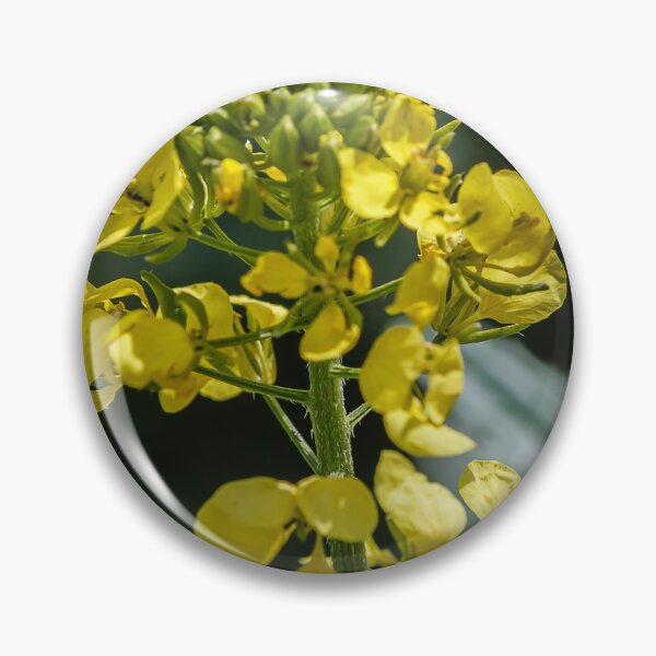 Item preview, Close-Up Of Yellow Mustard Flower Blooming On Green Stem In Soft Bokeh Background designed and sold by Nmallia.