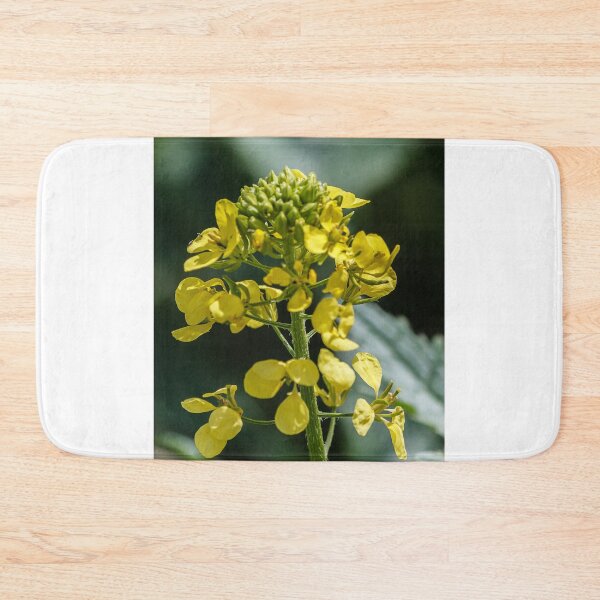 Item preview, Close-Up Of Yellow Mustard Flower Blooming On Green Stem In Soft Bokeh Background designed and sold by Nmallia.