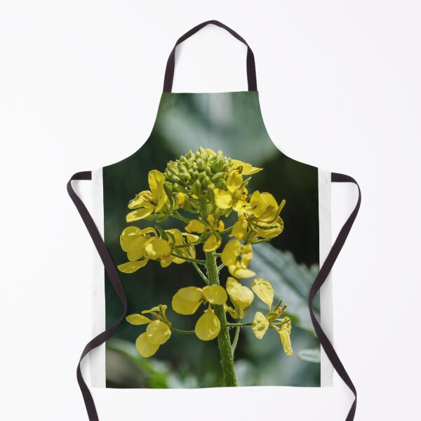 Item preview, Close-Up Of Yellow Mustard Flower Blooming On Green Stem In Soft Bokeh Background designed and sold by Nmallia.