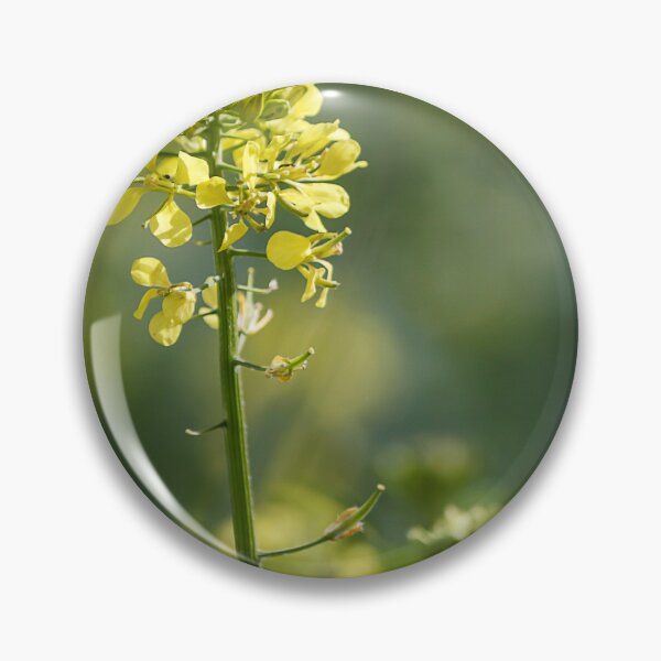 Item preview, Close-Up Of Yellow Mustard Flower Blooming On Green Stem In Soft Bokeh Background designed and sold by Nmallia.