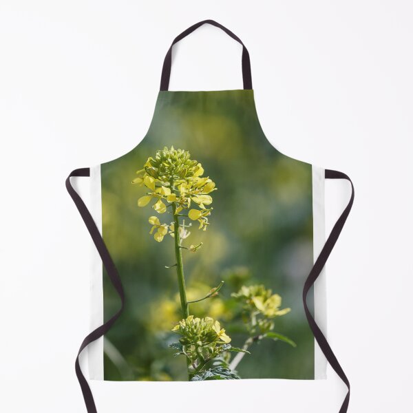 Item preview, Close-Up Of Yellow Mustard Flower Blooming On Green Stem In Soft Bokeh Background designed and sold by Nmallia.