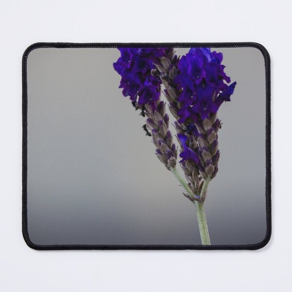 Item preview, Close-Up Purple Lavender Flower Stem On Neutral Background With Minimalist Floral Composition designed and sold by Nmallia.