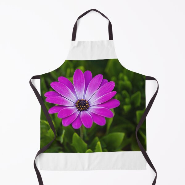 Item preview, Vibrant Purple Daisy Blooming Close-Up Over Green Garden Leaves, Pink Osteospermum Flower designed and sold by Nmallia.