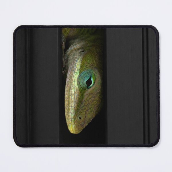 Item preview, Green Anole designed and sold by POGs R Us.