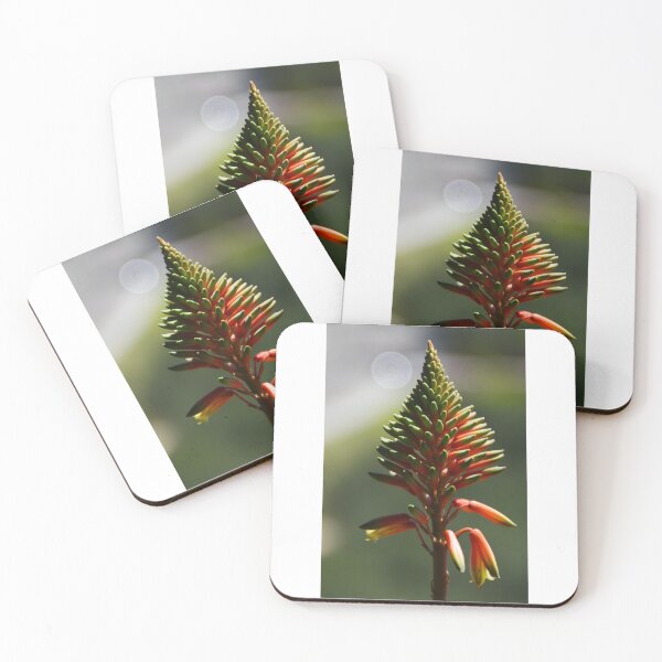 Item preview, Aloe Vera Flower designed and sold by XaviFotografia.