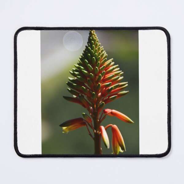 Item preview, Aloe Vera Flower designed and sold by XaviFotografia.