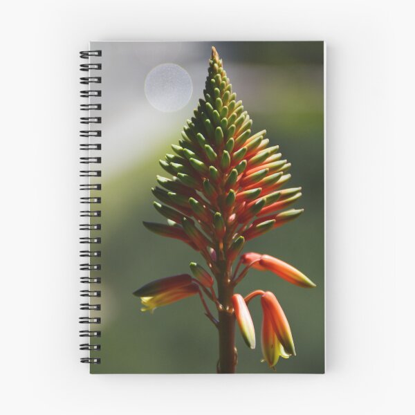 Item preview, Aloe Vera Flower designed and sold by XaviFotografia.
