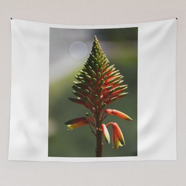 Item preview, Aloe Vera Flower designed and sold by XaviFotografia.