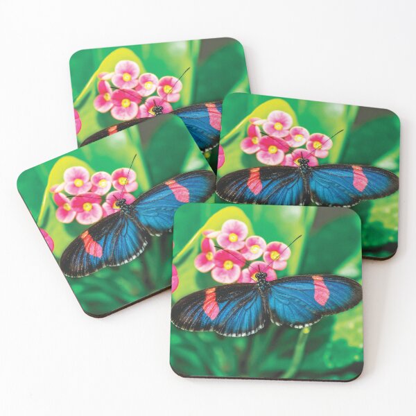 Item preview, Erato Longwing Butterfly designed and sold by Kay Brewer.
