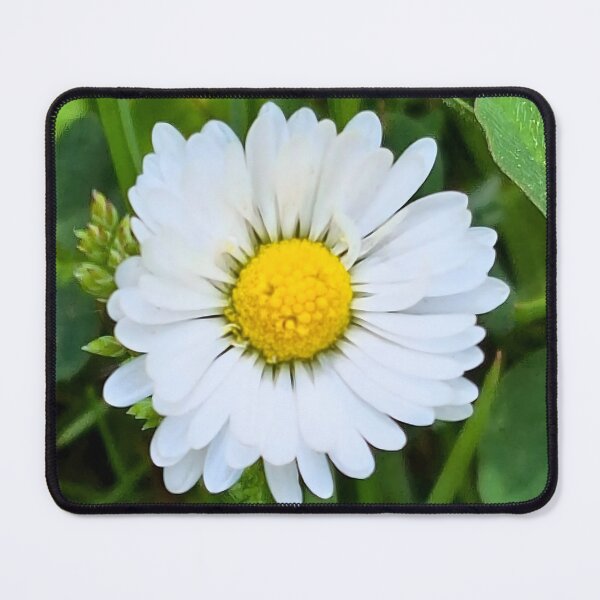 Item preview, Wild Flower in Nature – Delicate Bloom Botanical Macro Photography Art Print from Romania designed and sold by MSMPrintDesign.