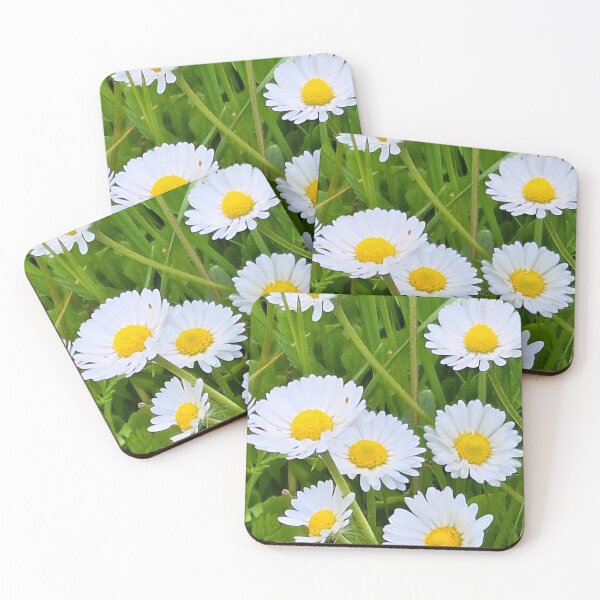 Item preview, Wild Flowers in the Garden – Beautiful Bloom Nature Photography Art Print from Romania designed and sold by MSMPrintDesign.