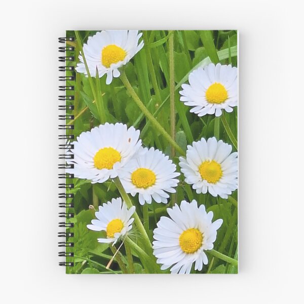 Item preview, Wild Flowers in the Garden – Beautiful Bloom Nature Photography Art Print from Romania designed and sold by MSMPrintDesign.