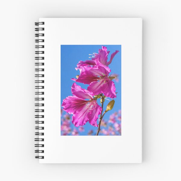 Item preview, Vibrant orchid-tree blooms under sunlight designed and sold by AmbiM.