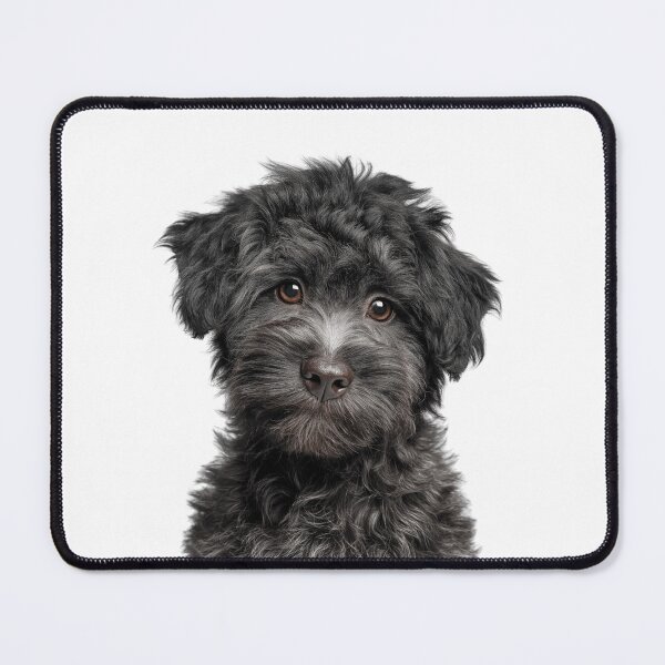 Item preview, Adorable Puli puppy for Cute Hungarian Puli puppy lovers designed and sold by LazyOwlStore.