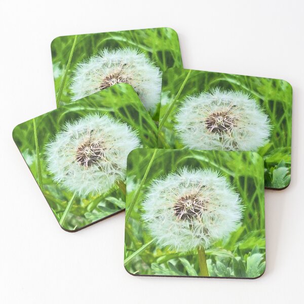 Item preview, Wild Dandelion in Nature – Delicate Seeds Macro Photography Botanical Art Print from Romania designed and sold by MSMPrintDesign.