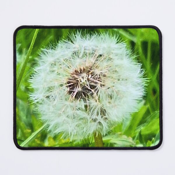 Item preview, Wild Dandelion in Nature – Delicate Seeds Macro Photography Botanical Art Print from Romania designed and sold by MSMPrintDesign.