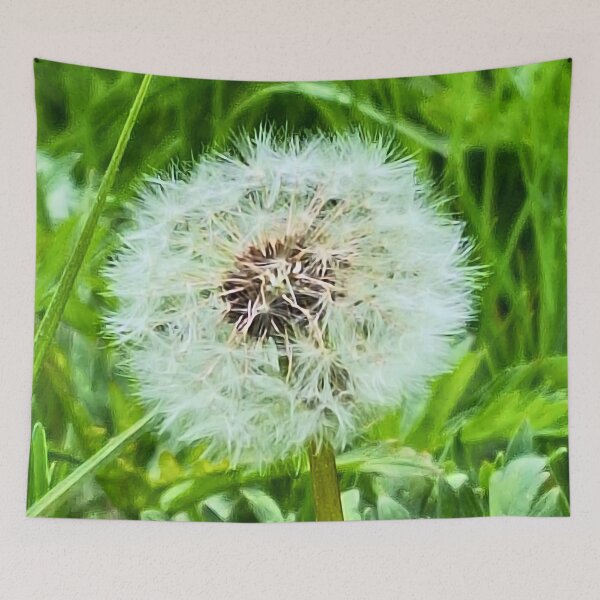 Item preview, Wild Dandelion in Nature – Delicate Seeds Macro Photography Botanical Art Print from Romania designed and sold by MSMPrintDesign.