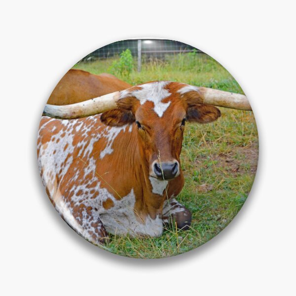 Item preview, Texas Longhorn Steer, American Beef Cattle Breed designed and sold by AMacGPhilly.