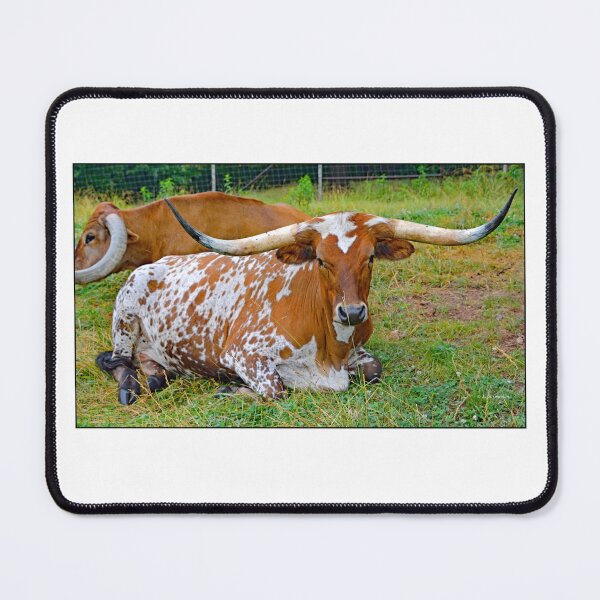 Item preview, Texas Longhorn Steer, American Beef Cattle Breed designed and sold by AMacGPhilly.