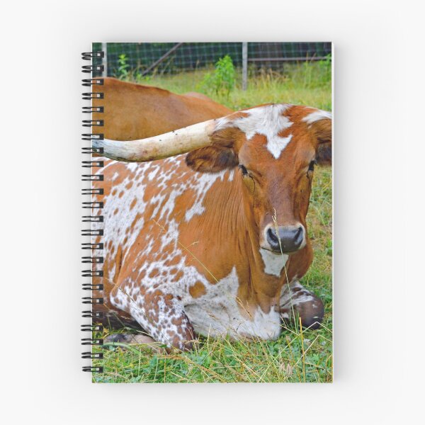 Item preview, Texas Longhorn Steer, American Beef Cattle Breed designed and sold by AMacGPhilly.