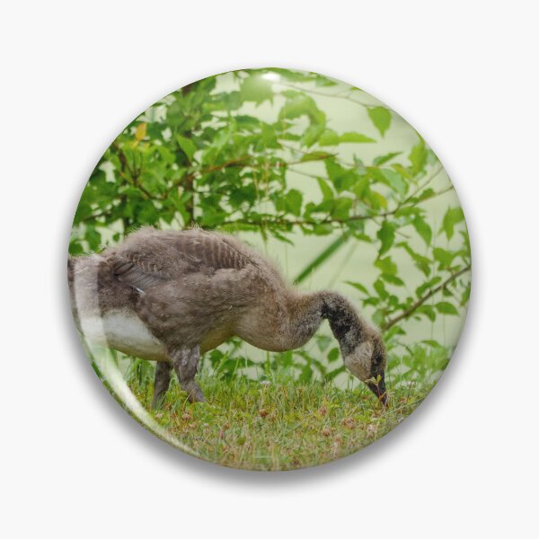 Item preview, Gosling designed and sold by HectorCantres.