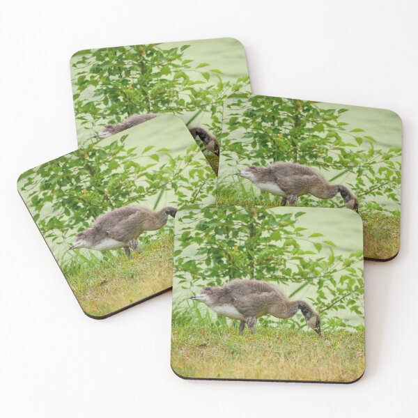 Item preview, Gosling designed and sold by HectorCantres.