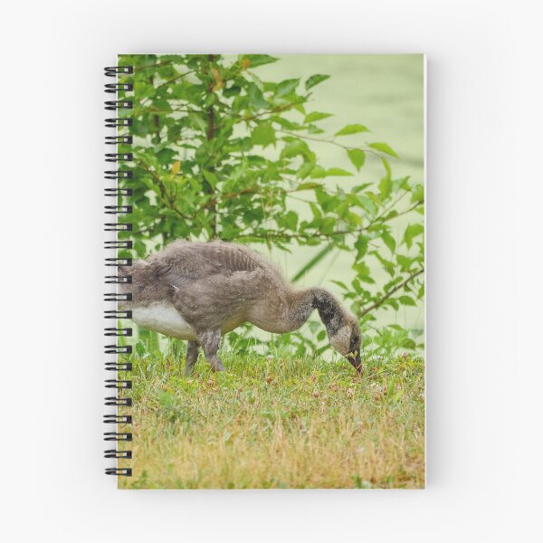 Item preview, Gosling designed and sold by HectorCantres.
