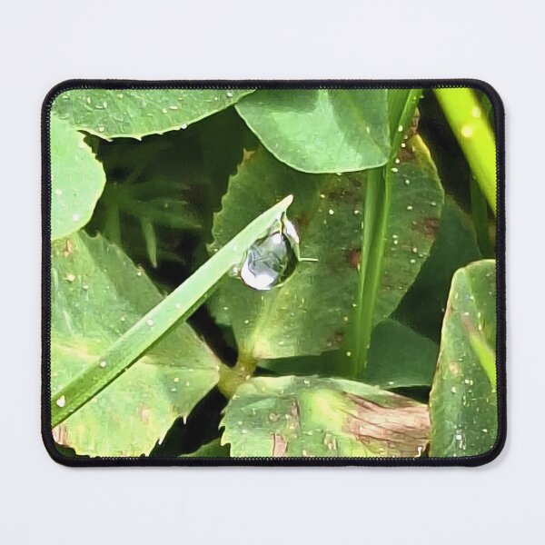 Item preview, Green Plant Leaves Nature – Lush Botanical Foliage Macro Photography Art Print from Romania designed and sold by MSMPrintDesign.