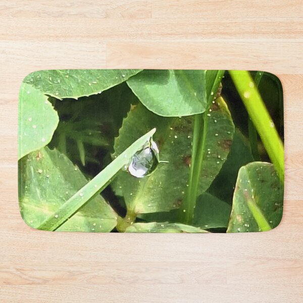 Item preview, Green Plant Leaves Nature – Lush Botanical Foliage Macro Photography Art Print from Romania designed and sold by MSMPrintDesign.