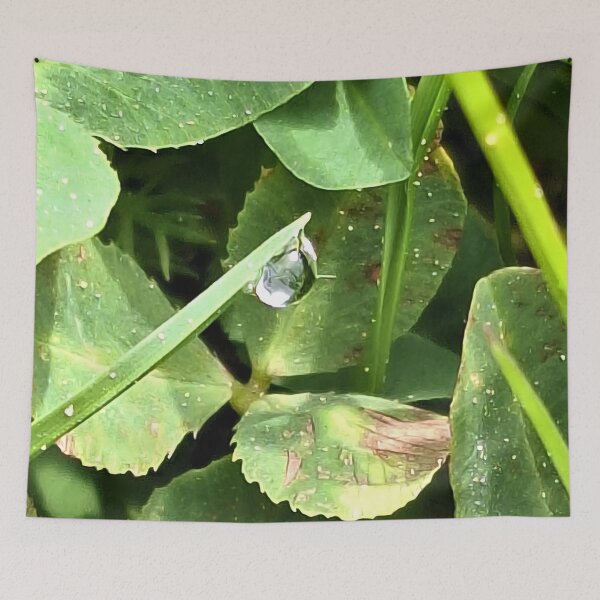 Item preview, Green Plant Leaves Nature – Lush Botanical Foliage Macro Photography Art Print from Romania designed and sold by MSMPrintDesign.
