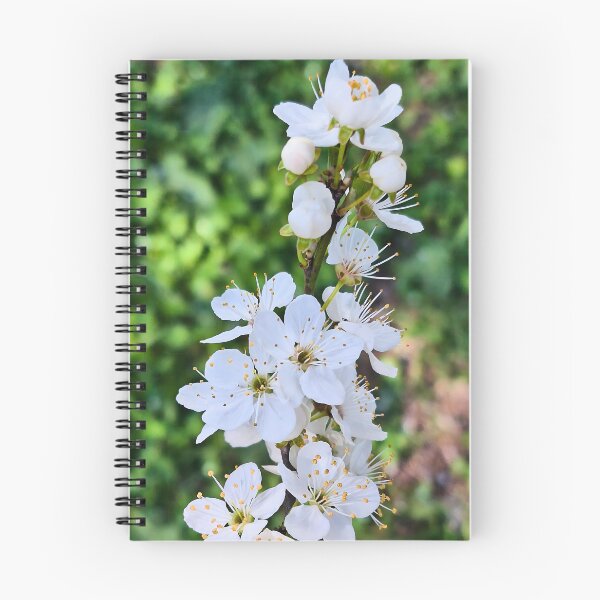 Item preview, Blooming Tree in Spring – Beautiful Blossom Flowers Nature Photography Art Print from Romania designed and sold by MSMPrintDesign.
