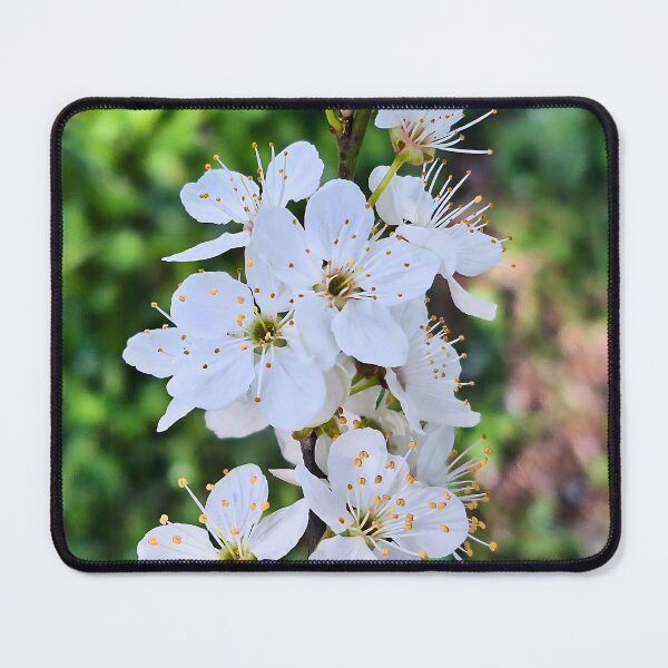 Item preview, Blooming Tree in Spring – Beautiful Blossom Flowers Nature Photography Art Print from Romania designed and sold by MSMPrintDesign.