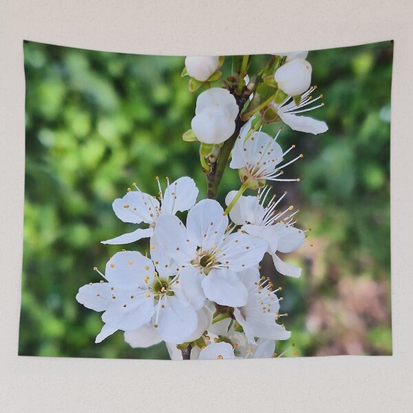 Item preview, Blooming Tree in Spring – Beautiful Blossom Flowers Nature Photography Art Print from Romania designed and sold by MSMPrintDesign.