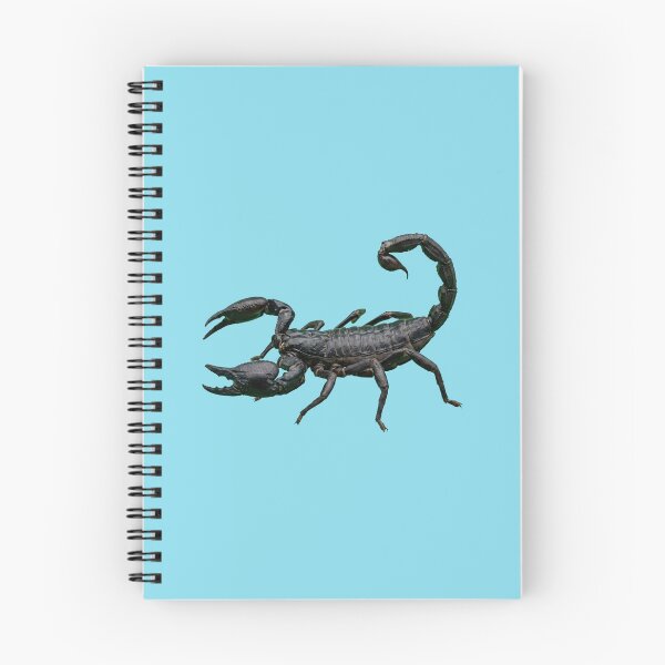 Item preview, Realistic Black Scorpion 3D Art designed and sold by Utopian-Magic.