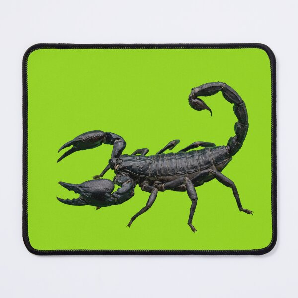 Item preview, Realistic Black Scorpion 3D Art designed and sold by Utopian-Magic.