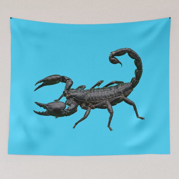 Item preview, Realistic Black Scorpion 3D Art designed and sold by Utopian-Magic.