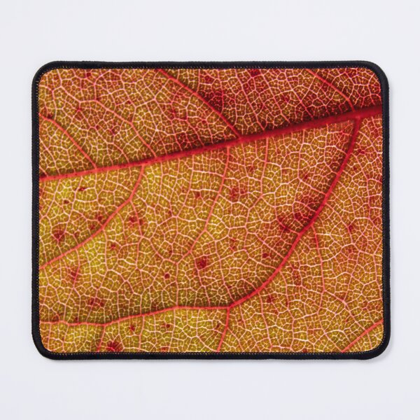 Item preview, Backlit Red Leaf — Nature's Stained Glass I designed and sold by Feathers-Fur.