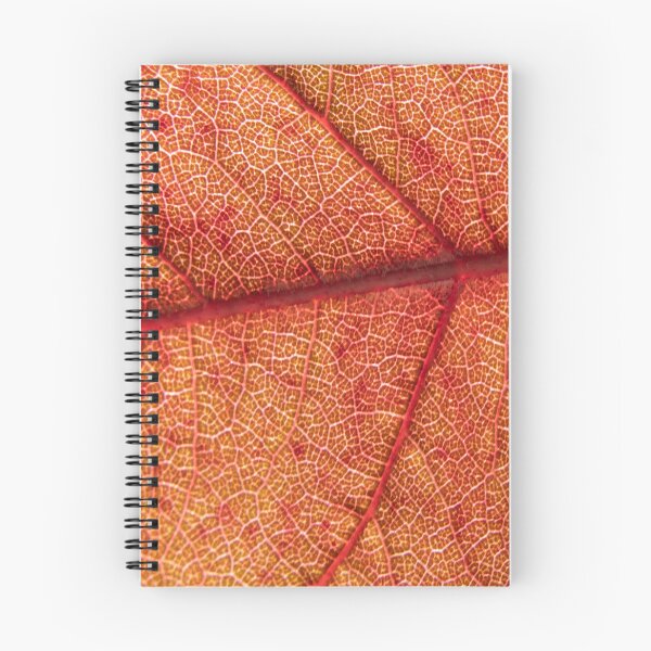 Item preview, Backlit Red Leaf — Nature's Stained Glass II designed and sold by Feathers-Fur.