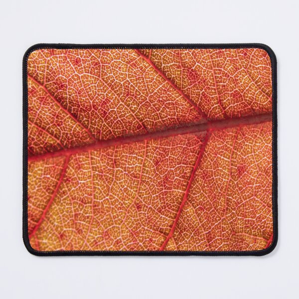 Item preview, Backlit Red Leaf — Nature's Stained Glass II designed and sold by Feathers-Fur.