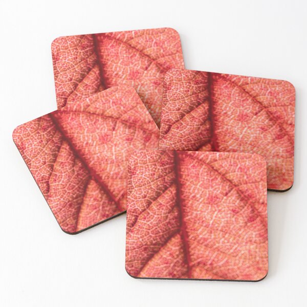 Item preview, Backlit Red Leaf — Nature's Stained Glass III designed and sold by Feathers-Fur.