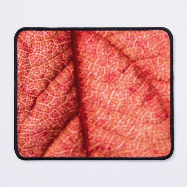 Item preview, Backlit Red Leaf — Nature's Stained Glass III designed and sold by Feathers-Fur.