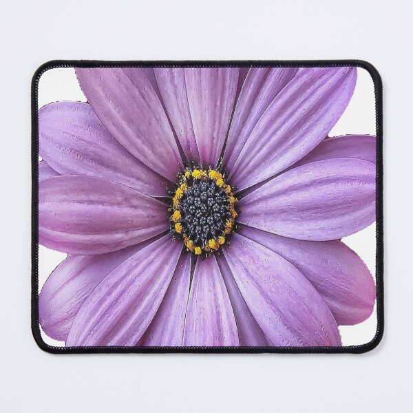 Item preview, Lavender Dream designed and sold by CyndiEpps.