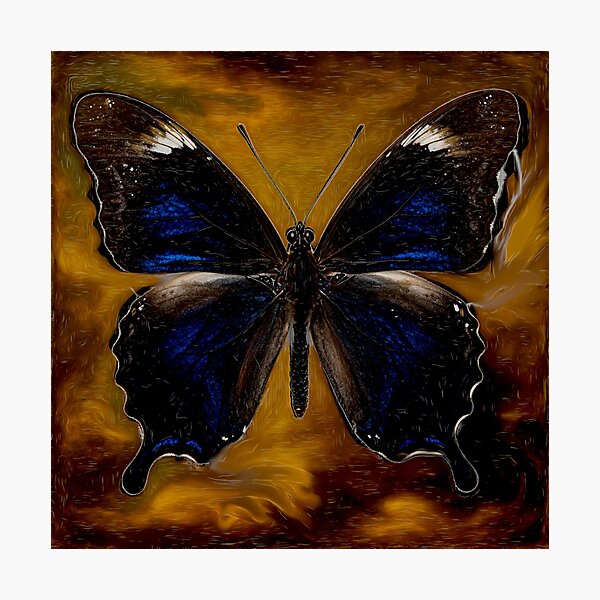 Item preview, Rajah Reverie: Papilio Memnon in Abstract Luxe #9 designed and sold by Helios Be. Lavsh.