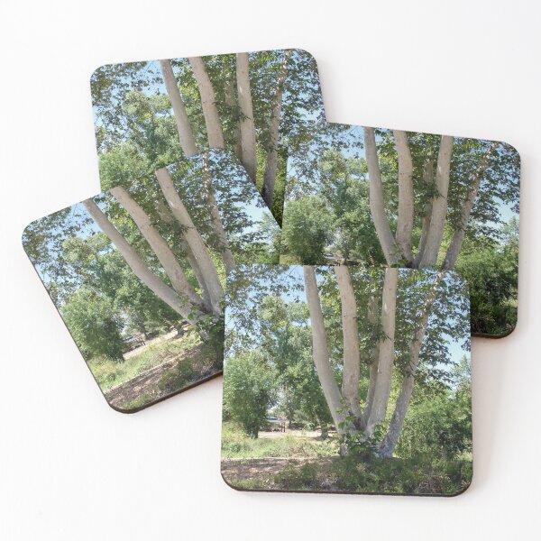 Item preview, Multi-Trunk Tree designed and sold by heatherfriedman.