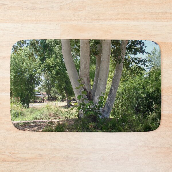 Item preview, Multi-Trunk Tree designed and sold by heatherfriedman.