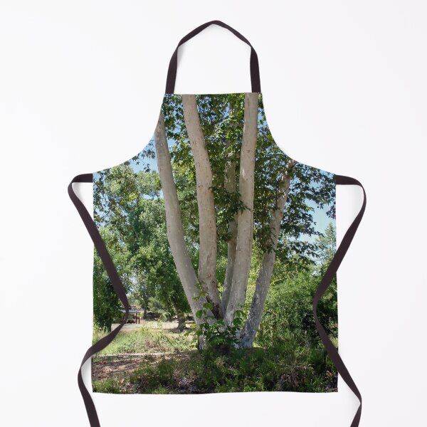 Item preview, Multi-Trunk Tree designed and sold by heatherfriedman.
