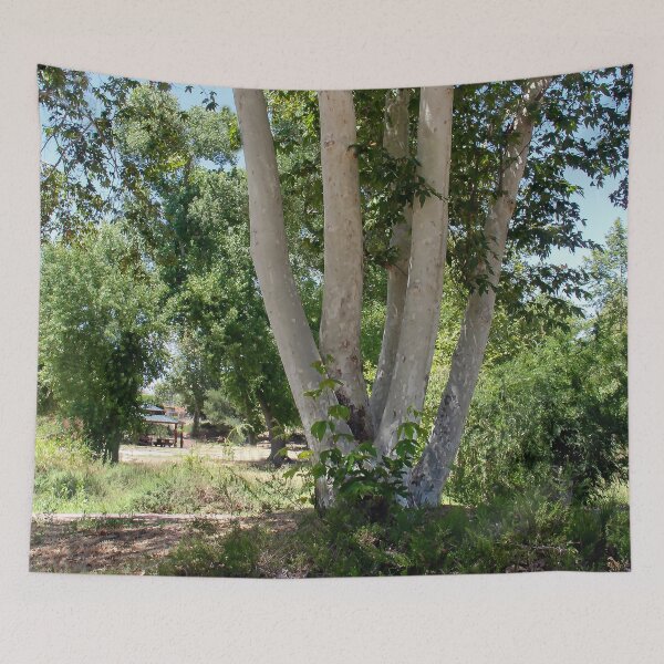 Item preview, Multi-Trunk Tree designed and sold by heatherfriedman.