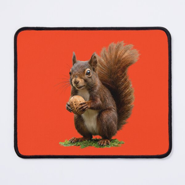 Item preview, Realistic Cute Squirrel with Walnut 3D Art designed and sold by Utopian-Magic.
