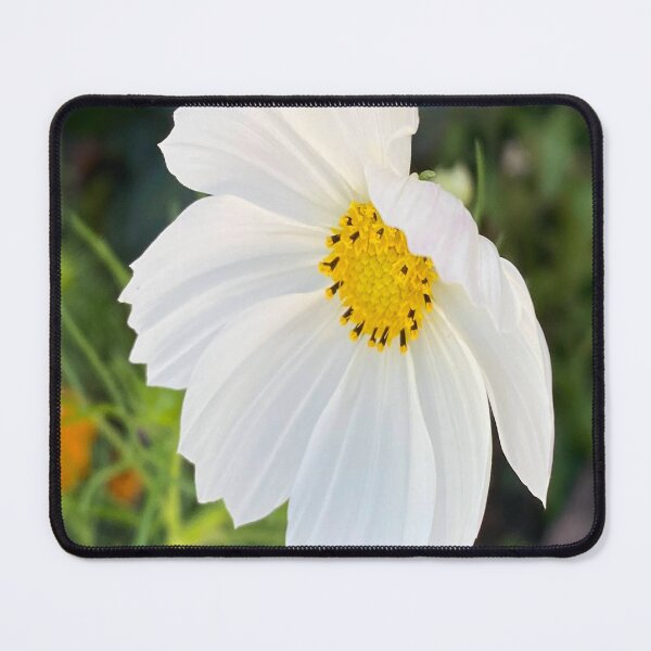 Item preview, Clean White Cosmos Flower Garden Photography designed and sold by BalkanBloom.